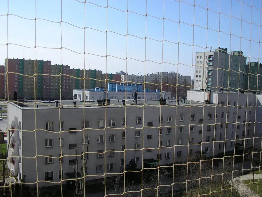 Zdjęcie Skuteczne metody na odstraszenie ptaków z elewacji budynku