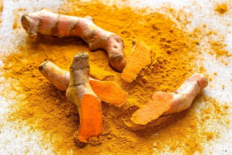 Zdjęcie Czy pies może jeść kurkumę? Sprawdź bezpieczeństwo i dawkowanie