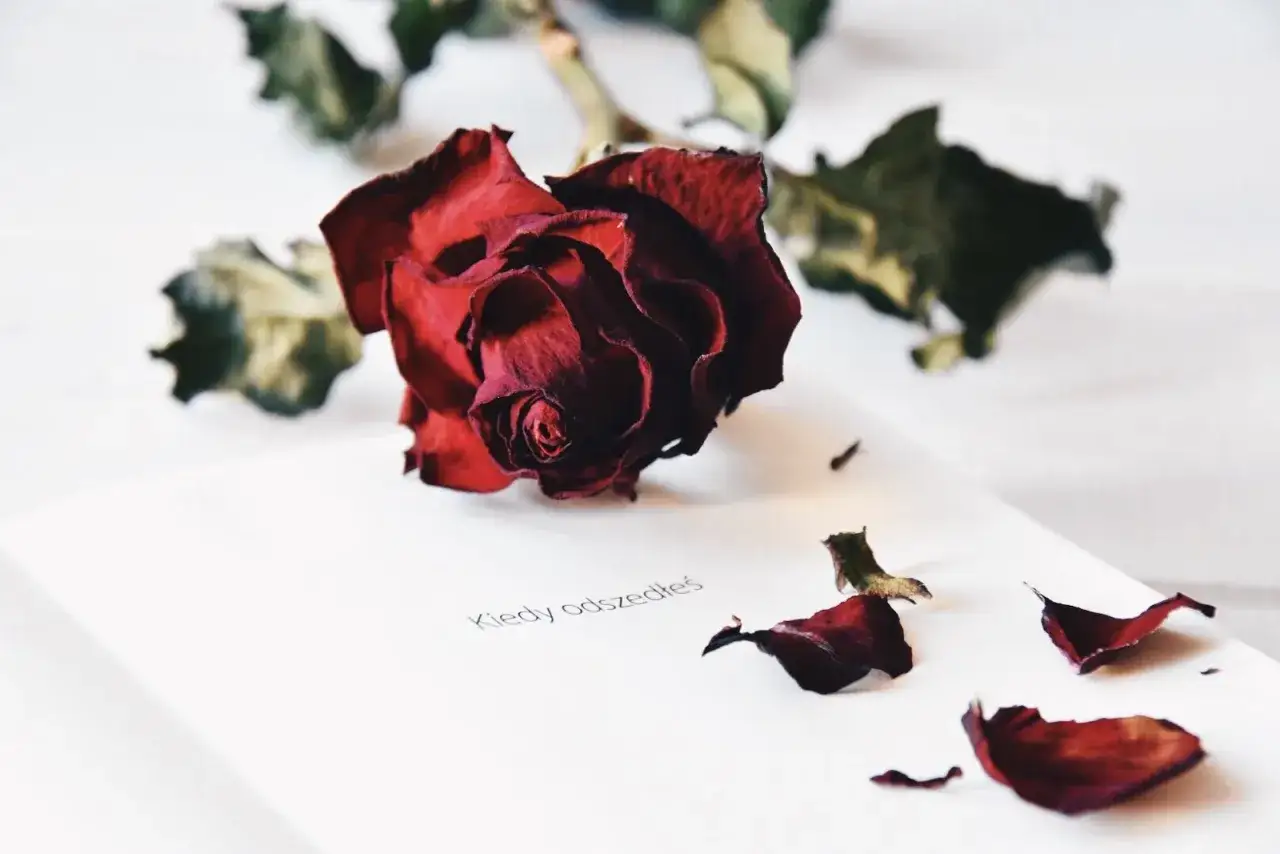 Zdjęcie Kiedy odszedłeś film obsada, która zaskakuje rolami głównych aktorów