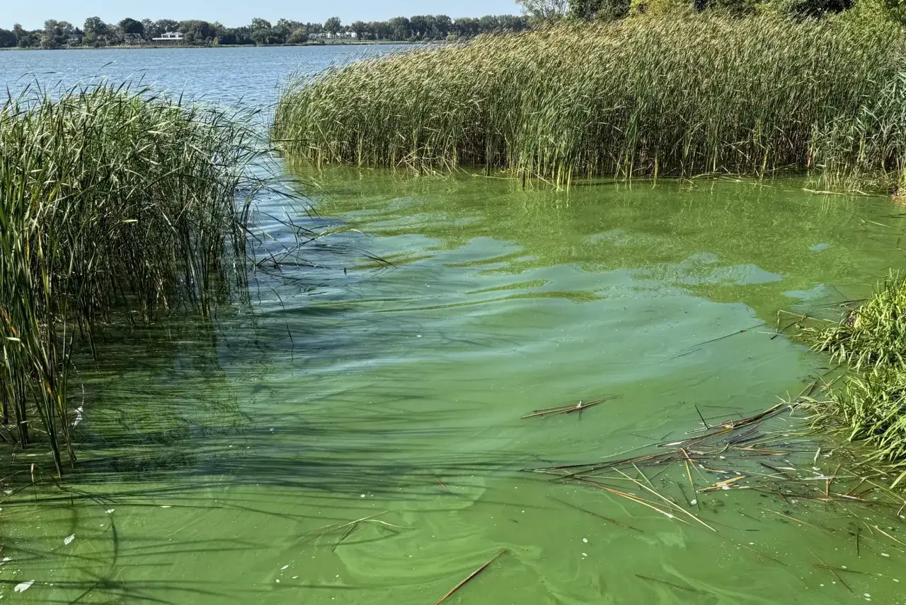 Zdjęcie Jezioro Zemborzyckie: atrakcje, problemy ekologiczne i rekreacja