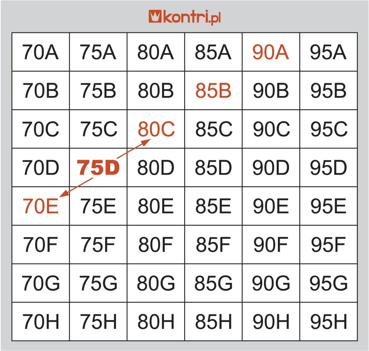 Zdjęcie Jaki rozmiar biustu jest duży? Poznaj fakty i mity o wymiarach