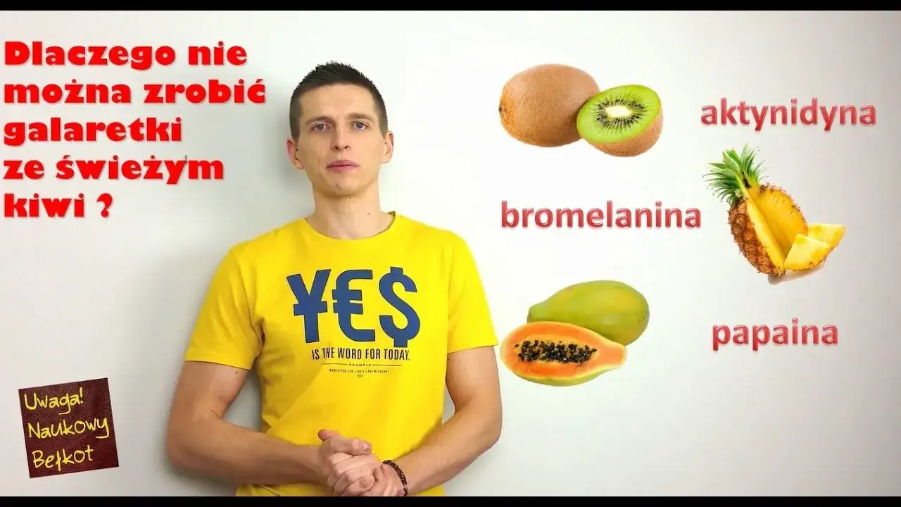 Zdjęcie Dlaczego kiwi w zimnej galaretce? Odkryj wpływ enzymu actinidyny