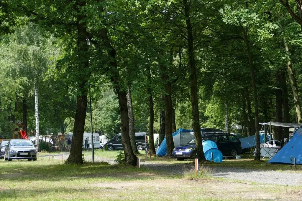 Zdjęcie Pole namiotowe Turawa nad jeziorem Średnim - idealne miejsce na wypoczynek