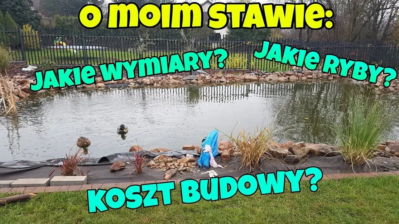 Zdjęcie Ile kosztuje budowa stawu rybnego? Poznaj ceny i wydatki