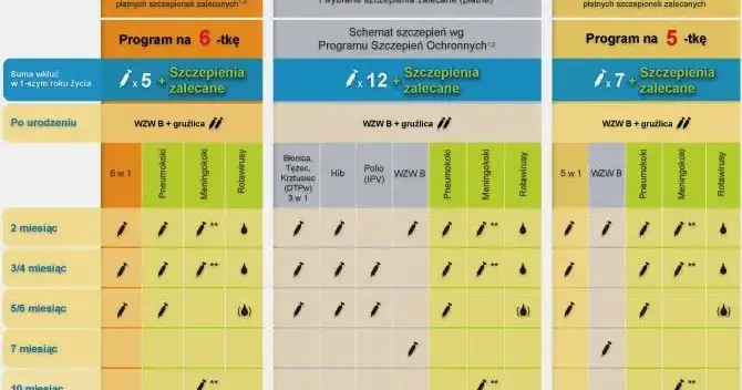 Zdjęcie Szczepionki na NFZ czy skojarzone: co wybrać, by uniknąć kosztów?