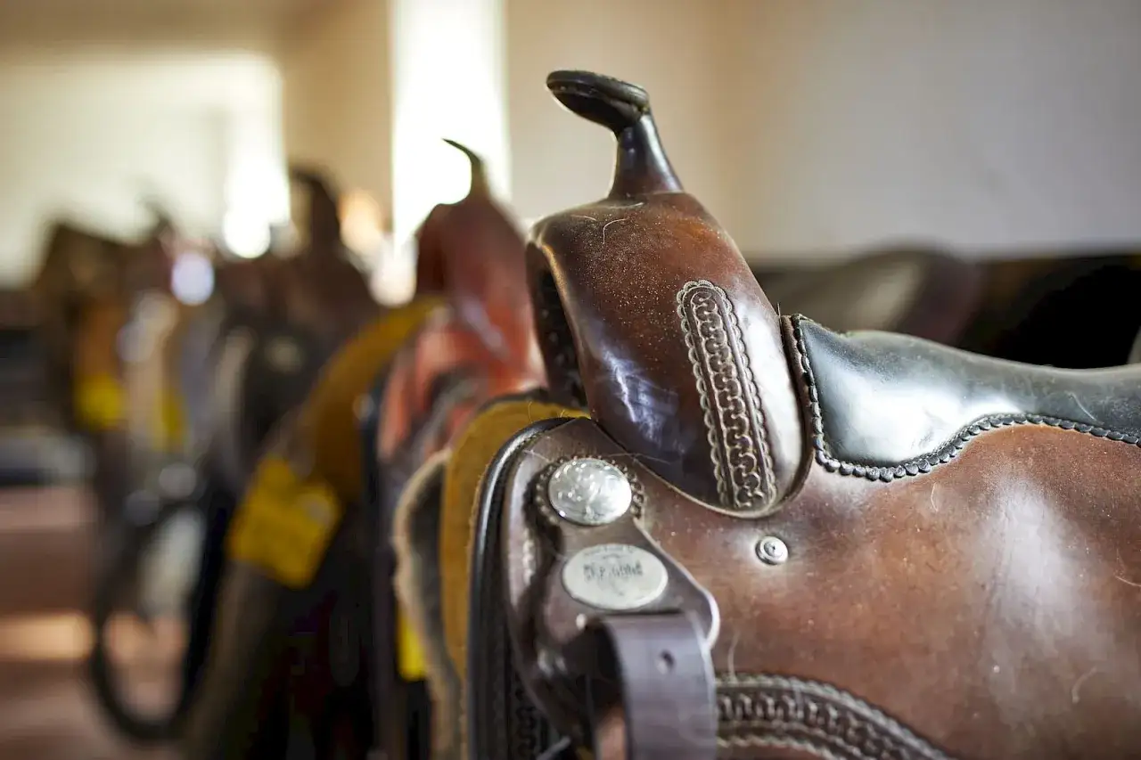 Zdjęcie Vielf&auml;ltige M&ouml;glichkeiten f&uuml;r Westernreiten Unterricht in Deutschland