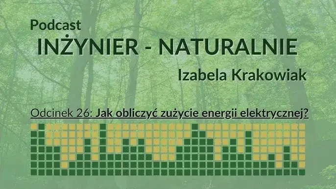 Zdjęcie Sprawdzenie zużycia energii elektrycznej Jak to zrobić