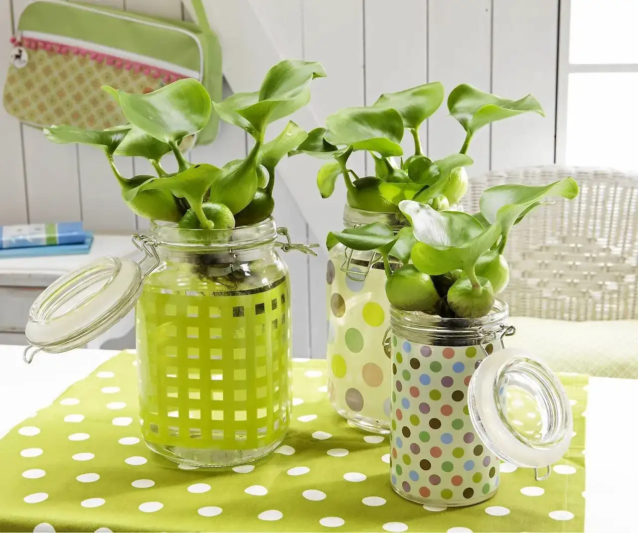 Zdjęcie Proste sposoby jak zrobić doniczki do akwarium z materiałów domowych