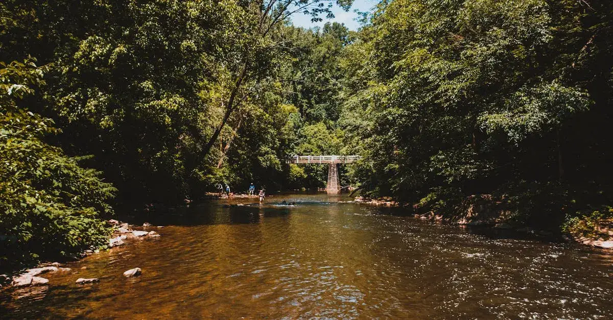 Zdjęcie Rzeka Mura: Ciekawostki, lokalizacja i ważne informacje o rzece Mura