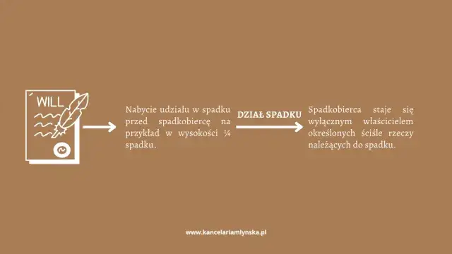 Zdjęcie Jak wygląda rozprawa o dział spadku? Kluczowe informacje i porady