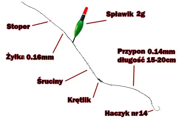 Zdjęcie Jak wybrać idealny spławik na płoć w różnych warunkach wodnych