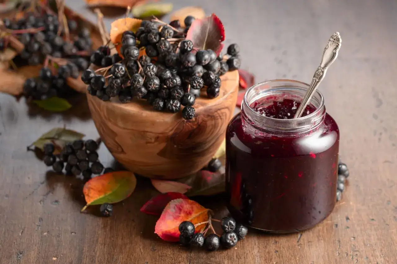 Zdjęcie Co zrobić z aronią z nalewki? Przepisy na smaczne wykorzystanie owoc&oacute;w