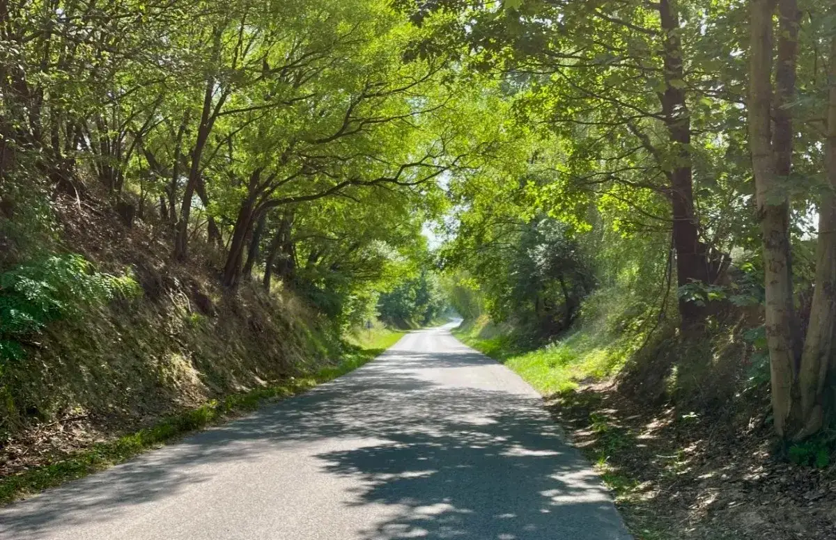 Zdjęcie Najlepsze trasy motocyklowe w lubelskim – odkryj ukryte skarby regionu