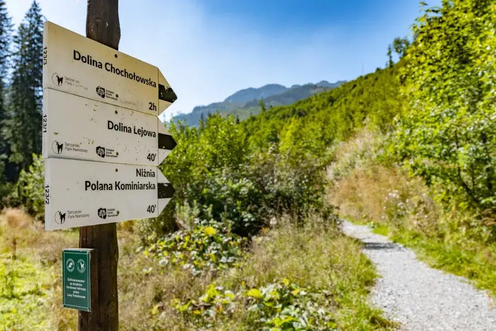 Zdjęcie Dolina Kościeliska czy Chochołowska z dzieckiem - która jest lepsza?