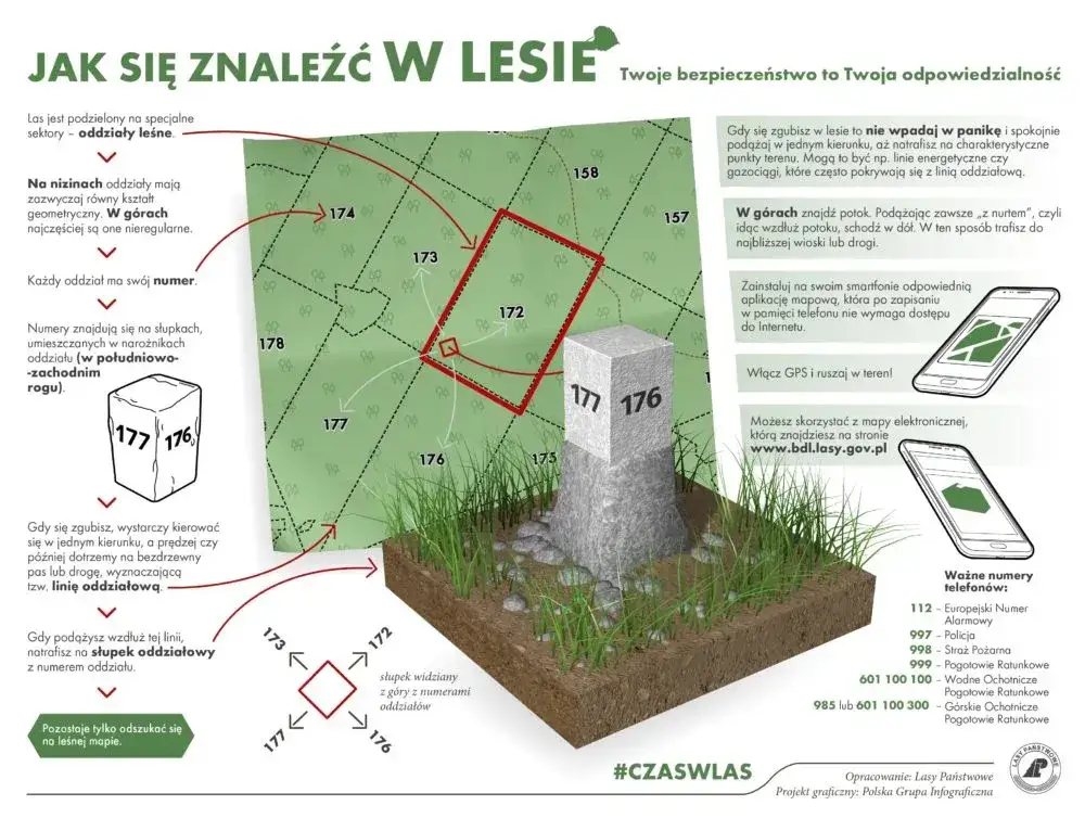Zdjęcie Jak nie zgubić się w lesie? Aplikacje i porady GPS