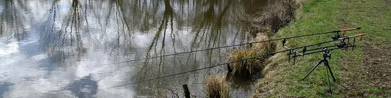 Zdjęcie Łowisko Rusiec informacje: co musisz wiedzieć przed wędkowaniem