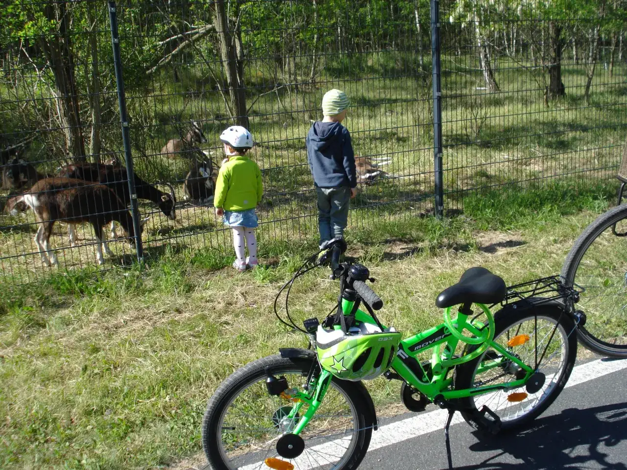 Zdjęcie Trasa rowerowa wokół Berzdorfer See - idealna dla każdego cyklisty