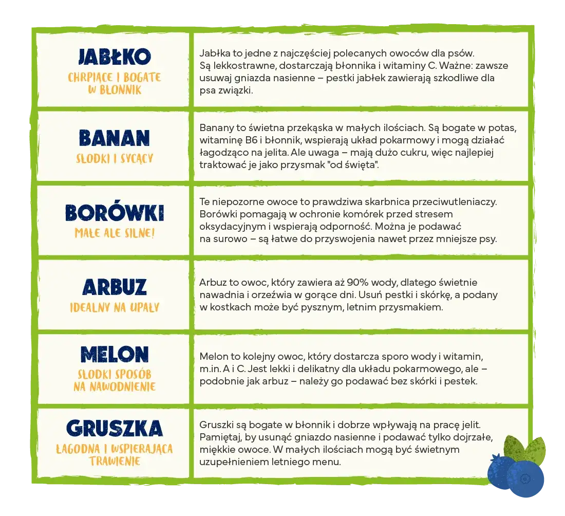 Zdjęcie Czy pies może jeść jabłko? Bezpieczne sposoby na zdrową przekąskę