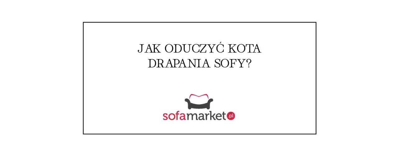 Zdjęcie Jak oduczyć kota drapania kanapy? Skuteczne metody na problemy z meblami