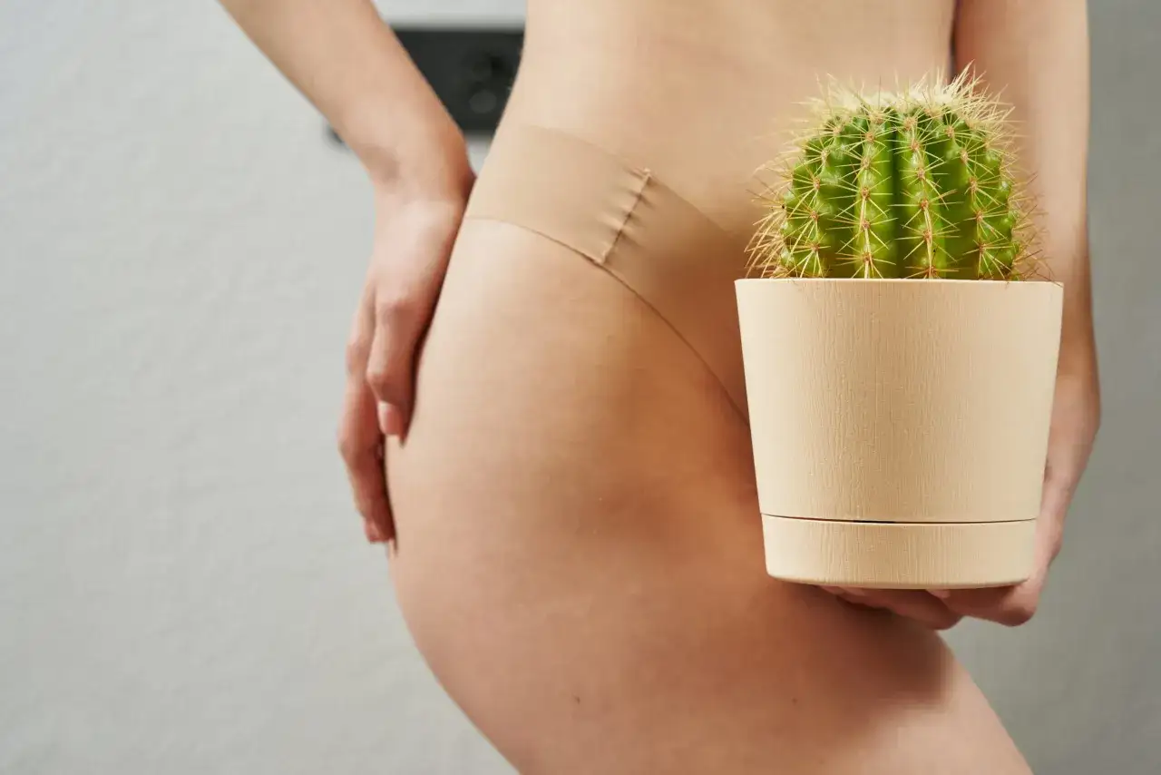 Zdjęcie Linia bikini gdzie jest - zrozumienie lokalizacji i pielęgnacji