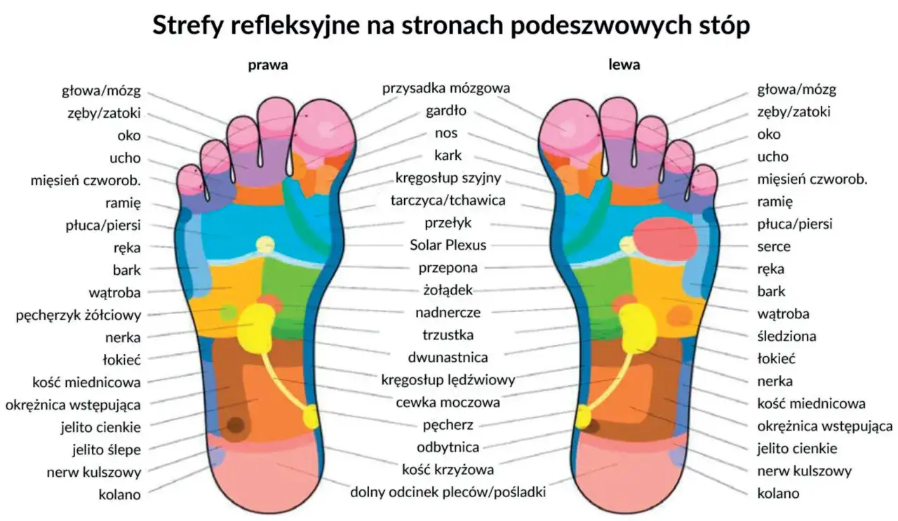 Zdjęcie Punkty akupunktury na stopach: Mapa zdrowia i ulgi w b&oacute;lu