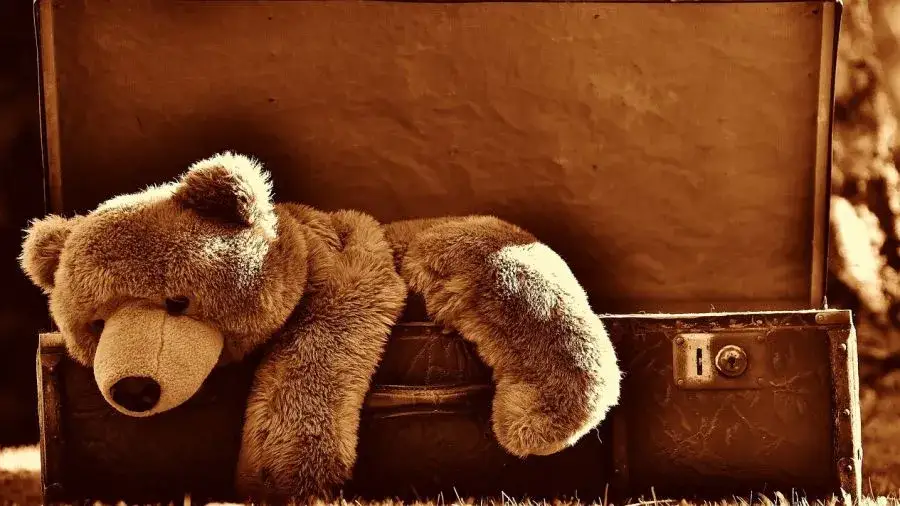 Zdjęcie Kiedy jest światowy dzień pluszowego misia i dlaczego warto go obchodzić