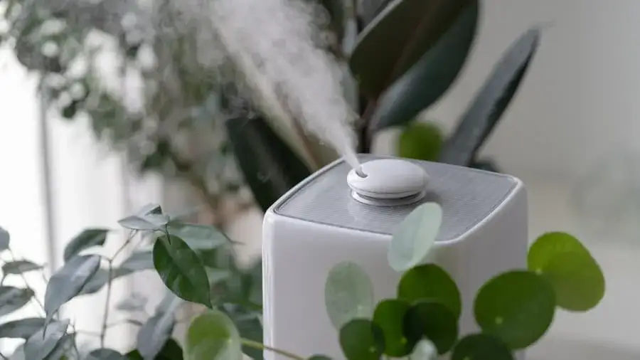Zdjęcie Czy do nawilżacza powietrza można wlać olejek? Sprawdź, co musisz wiedzieć
