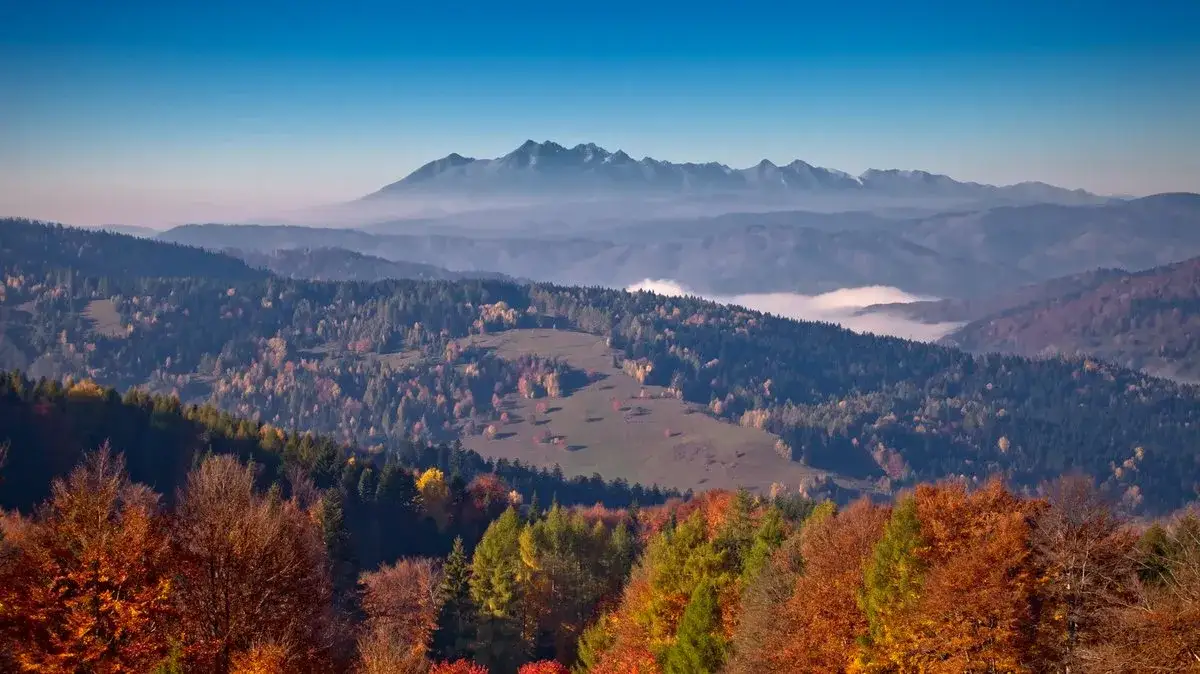 Zdjęcie Bac&oacute;wka Czorsztyn: Odkryj tradycyjne smaki i niezapomniane widoki