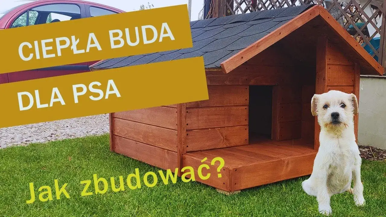 Zdjęcie Jak zrobić budę dla psa z desek – krok po kroku, aby Twój pies był szczęśliwy