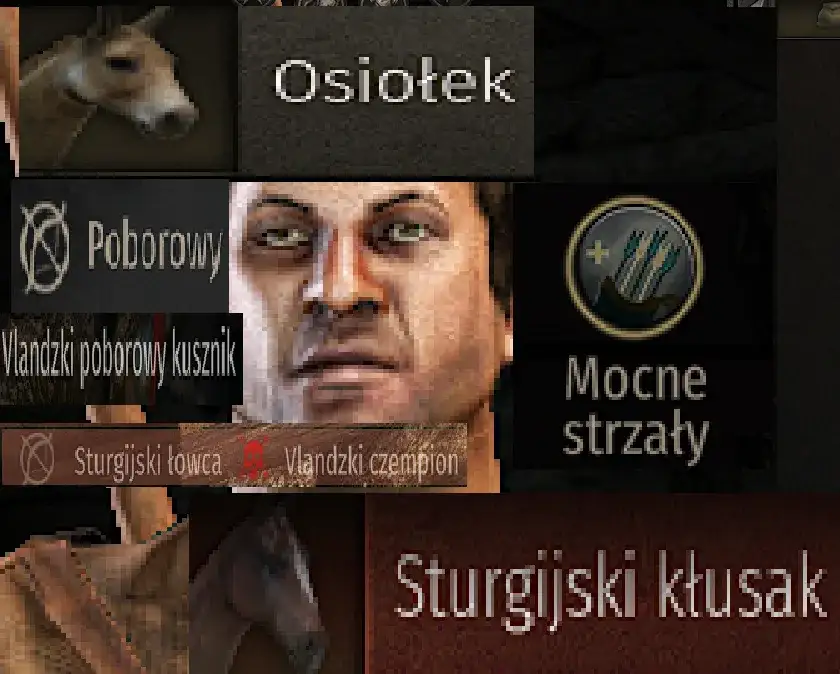Zdjęcie Mount and Blade Bannerlord spolszczenie - jak włączyć polski tłumaczenie