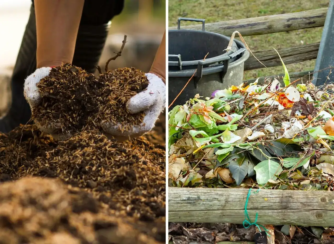 Zdjęcie Jak się robi kompost: proste kroki do idealnego kompostu w ogrodzie