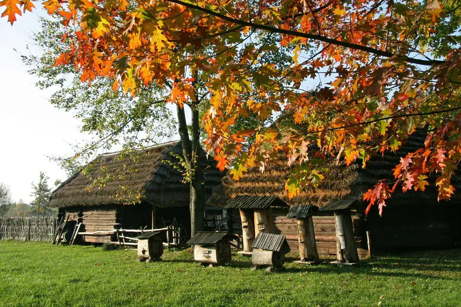 Zdjęcie Gdzie kręcono film Wielki Szu? Odkryj tajemnicze lokalizacje