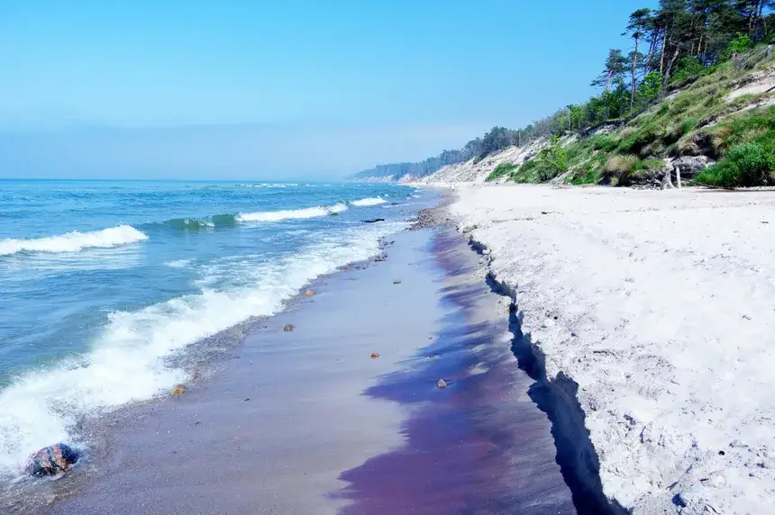 Zdjęcie Co zobaczyć nad morzem? Odkryj ukryte skarby Bałtyku!