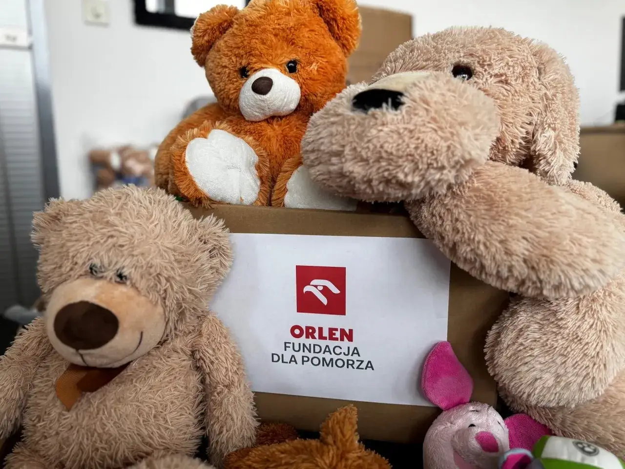 Zdjęcie Gdzie można kupić ogromnego pluszowego misia w najlepszych cenach?