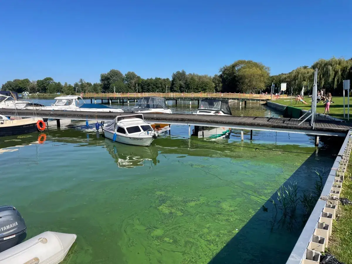 Zdjęcie Jezioro Pątnowskie: problemy ekologiczne i atrakcje rekreacyjne