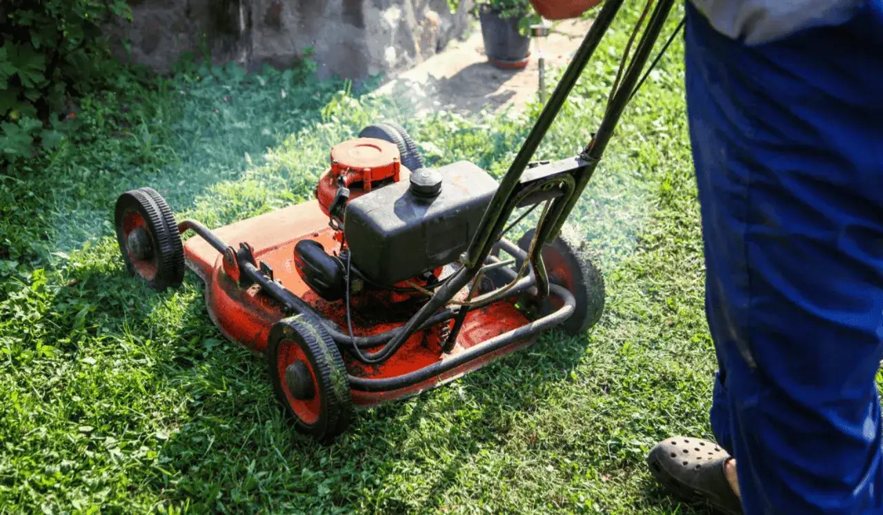 Zdjęcie Od kiedy zakaz używania kosiarek spalinowych? Sprawdź ważne przepisy