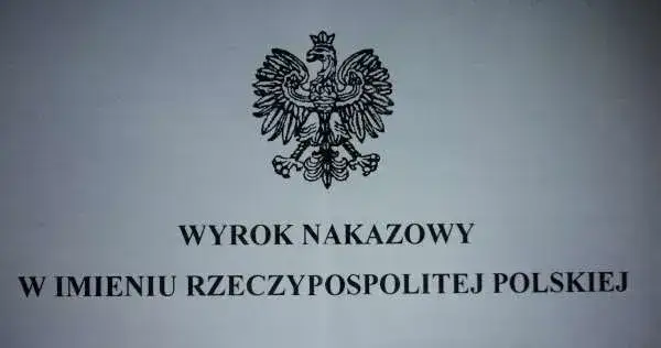Zdjęcie Co dalej po wyroku nakazowym? Kluczowe kroki i konsekwencje