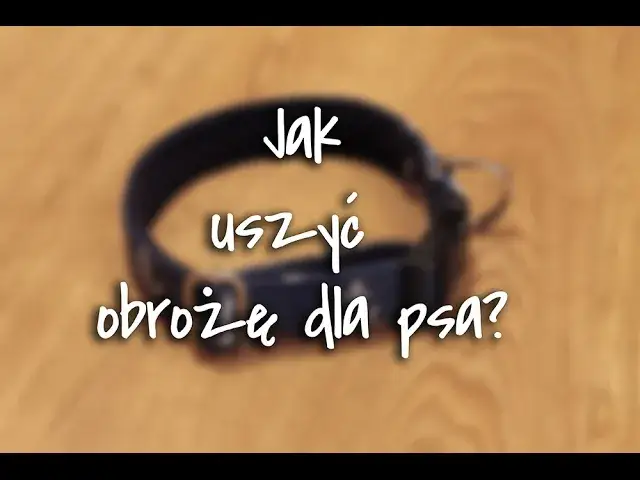 Zdjęcie Jak uszyć obrożę dla psa - krok po kroku z praktycznymi wskazówkami