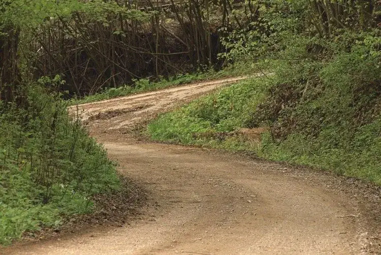 Zdjęcie Jak wykonać podjazd z tłucznia - krok po kroku bez błędów