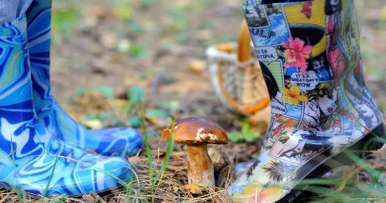 Zdjęcie Jakie buty na grzyby wybrać, aby uniknąć mokrych stóp?
