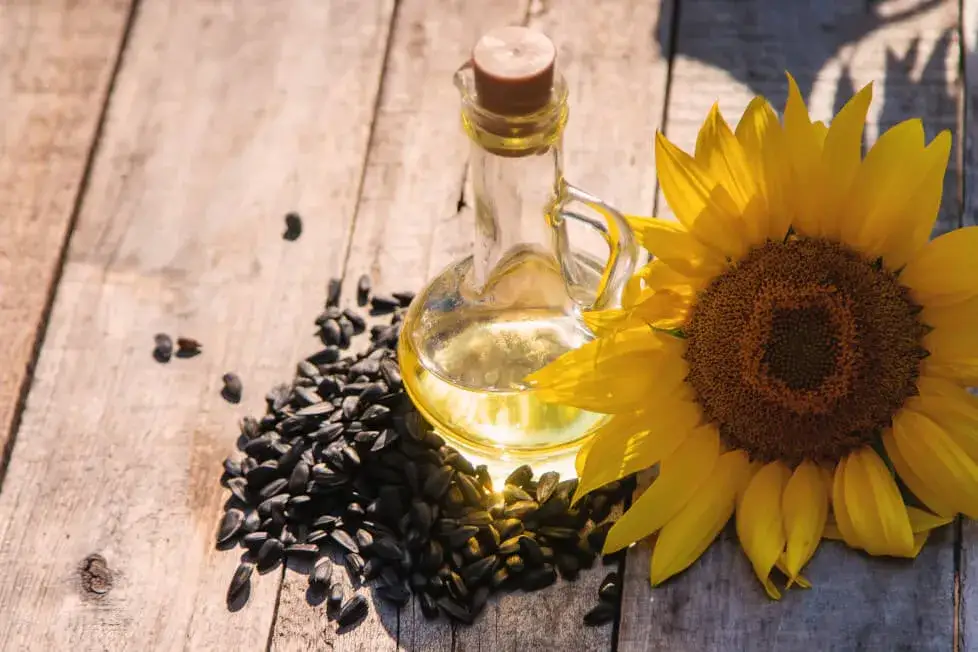 Zdjęcie Olej słonecznikowy na włosy: Naturalna pielęgnacja dla zdrowych kosmyków