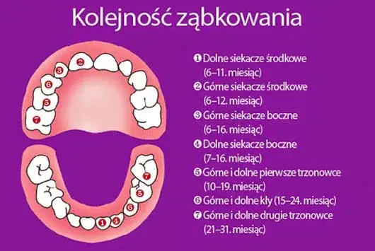 Zdjęcie Ząbkowanie trójki: Objawy, które każdy rodzic powinien znać
