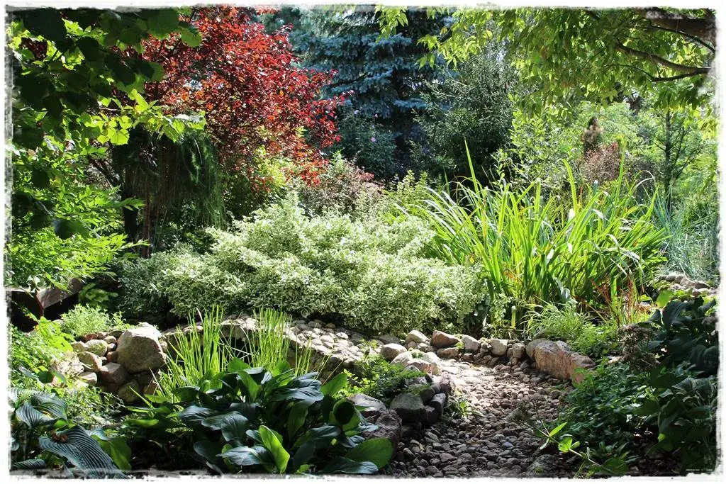 Zdjęcie Co posadzić na skarpie przy tarasie, by uniknąć erozji i cieszyć się pięknem?