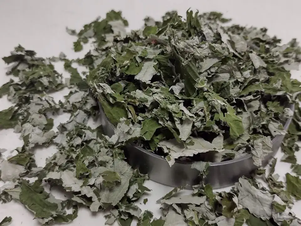 Zdjęcie Gdzie kupić napar z liści malin? Sprawdź najlepsze opcje i ceny