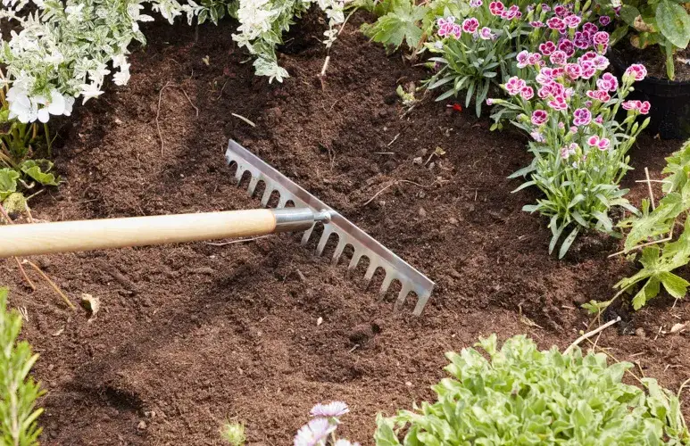 Zdjęcie Czy można siać trawę we wrześniu? Oto najlepsze warunki i porady