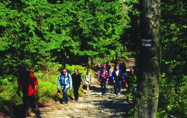 Zdjęcie Bystra atrakcje: odkryj ukryte skarby i piękne szlaki turystyczne