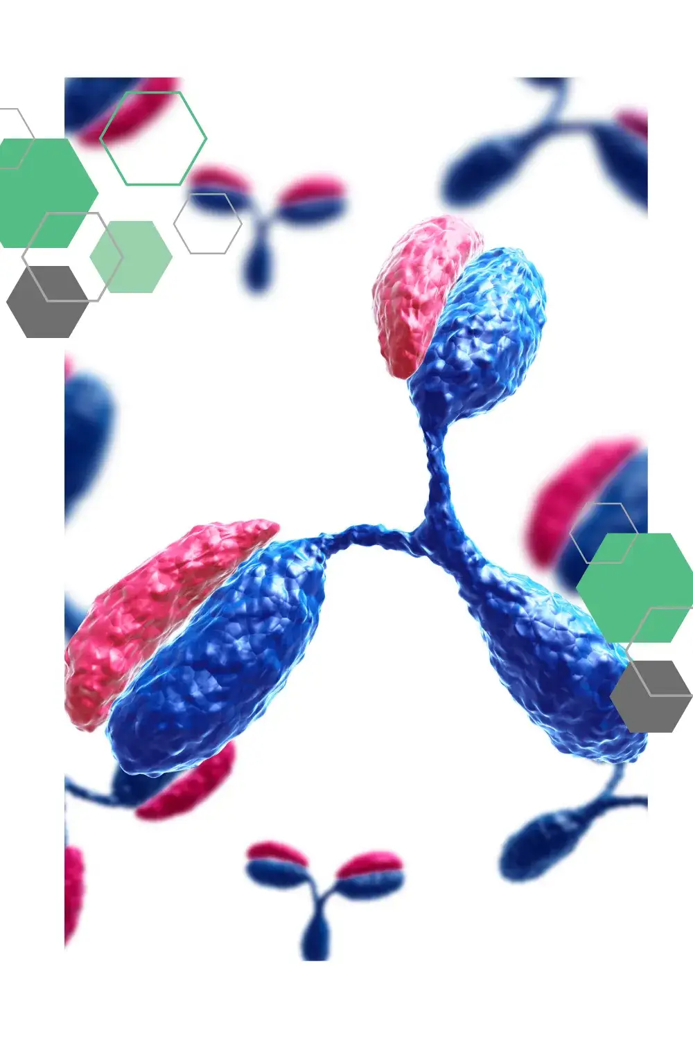 Zdjęcie Badanie IgA - co to jest i jak może wpłynąć na Twoje zdrowie?