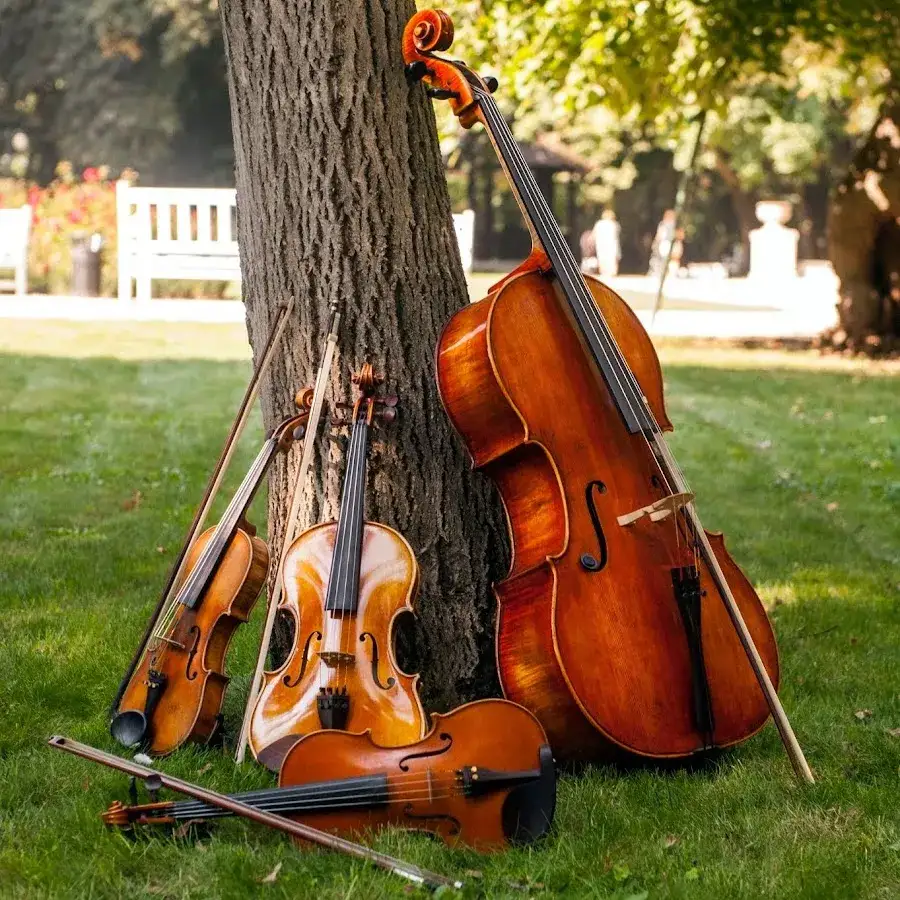 Zdjęcie Kwartet smyczkowy Anima: historia, członkowie i ich muzyka