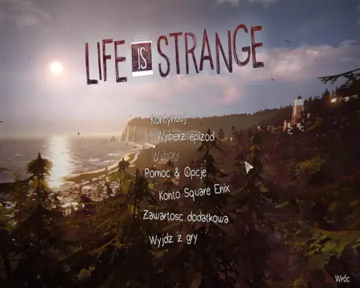 Zdjęcie Jak zainstalować spolszczenie Life is Strange 2: kompletna instrukcja instalacji