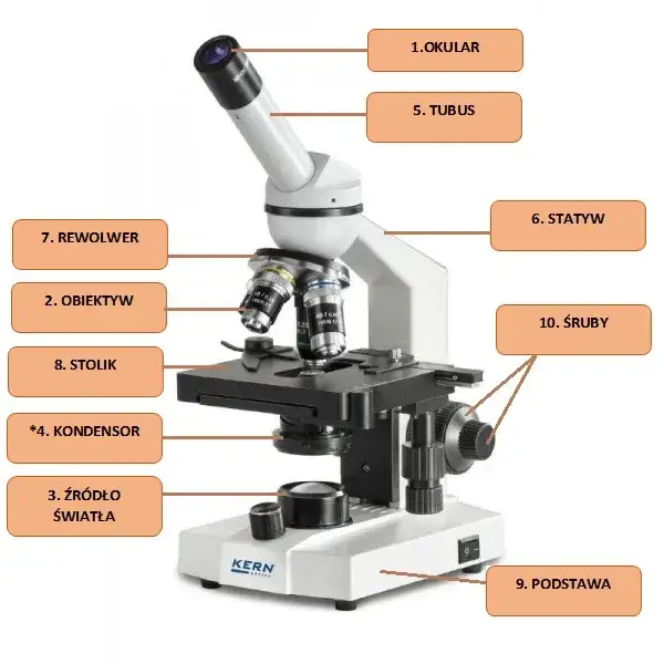 Zdjęcie Obiektyw mikroskopu: tajemnice precyzyjnego powiększania świata mikroskali